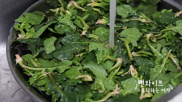 Trim and wash the spinach — step photo 1
