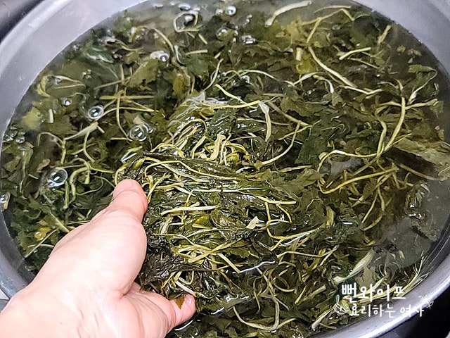Soak dried chwinamul and dried gondre — step photo 1