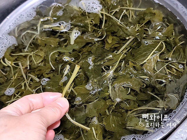 How to boil dried chwinamul and dried gondre — step photo 2