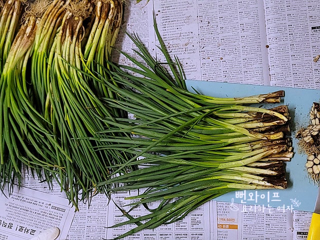Trim the scallions — step photo 1