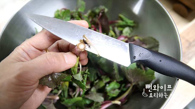 Clean the butterbur shoots — step photo 1