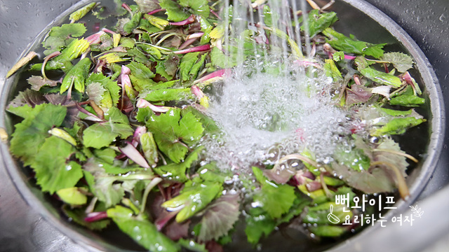 Clean the butterbur shoots — step photo 2