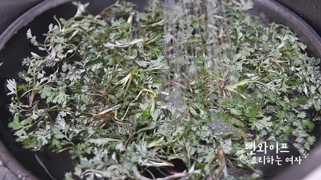 Clean the mugwort — step photo 1