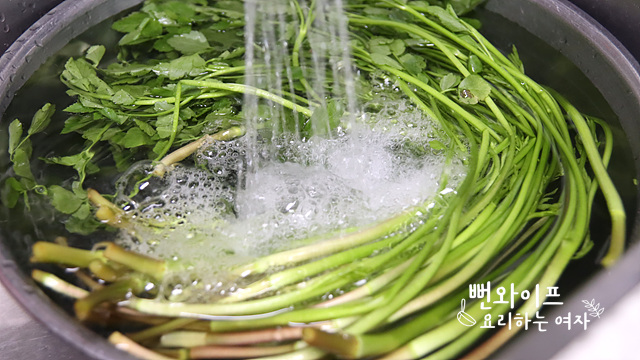 Wash the water dropwort — step photo 1