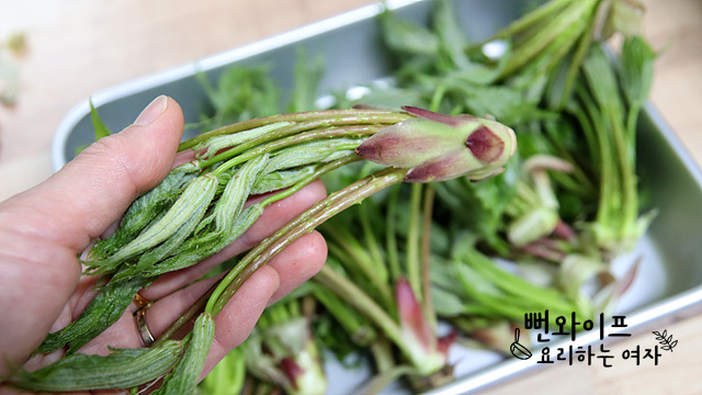 Clean the prickly castor oil tree shoots — step photo 1