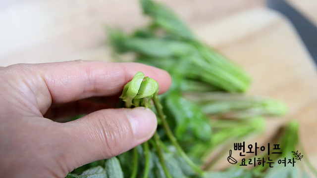 Clean the prickly castor oil tree shoots — step photo 1