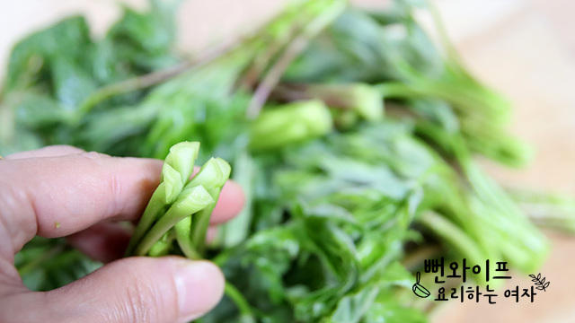 Clean the prickly castor oil tree shoots — step photo 2