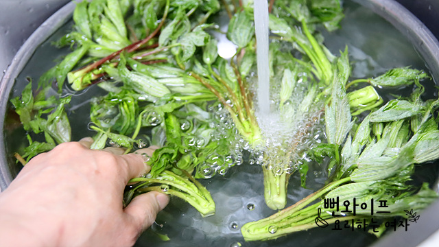 Clean the prickly castor oil tree shoots — step photo
