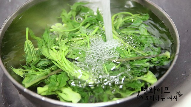 Blanch the prickly castor oil tree shoots — step photo 1