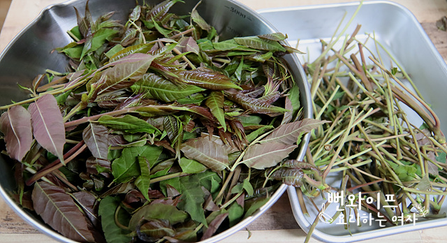 Prepare the gajuk-namul — step photo 2