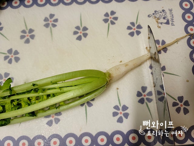 Trim the young summer radish — step photo 1