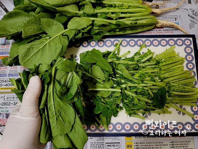 Trim the young summer radish — step photo 1