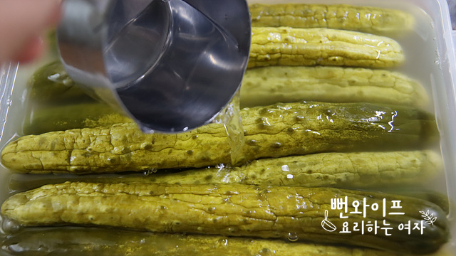 Ferment in brine — step photo 1