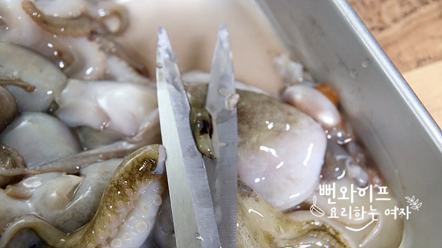 Clean the webfoot octopus — step photo 1