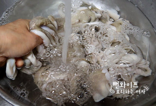 Wash the webfoot octopus — step photo 1