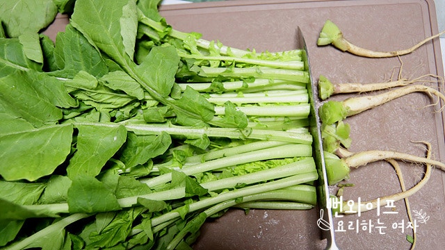 Trim the young summer radish and eolgari cabbage — step photo 1