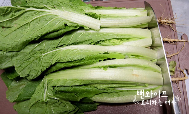Trim the young summer radish and eolgari cabbage — step photo 1