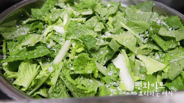 Wash and salt the radish and cabbage — step photo 1