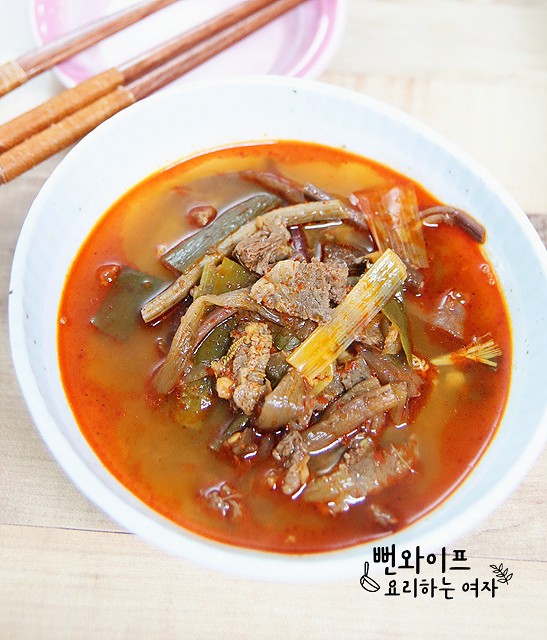 Beef Yukgaejang (Spicy Beef and Leek Soup) — finished dish