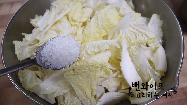 Salt the cabbage — step photo 1