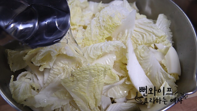 Salt the cabbage — step photo 2
