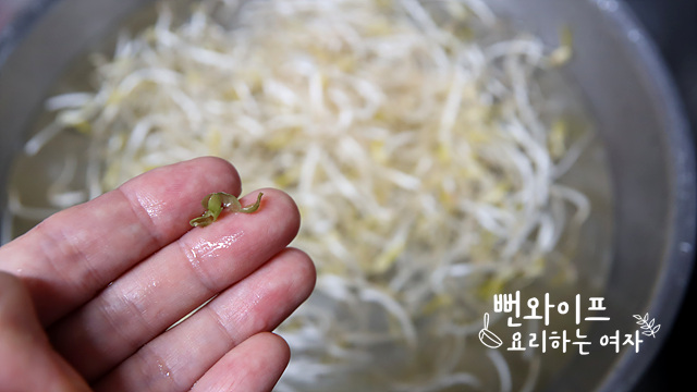Clean the mung bean sprouts — step photo 2