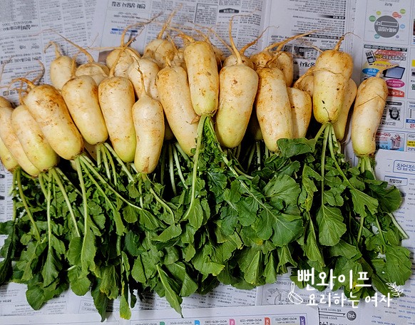 재료 준비 사진