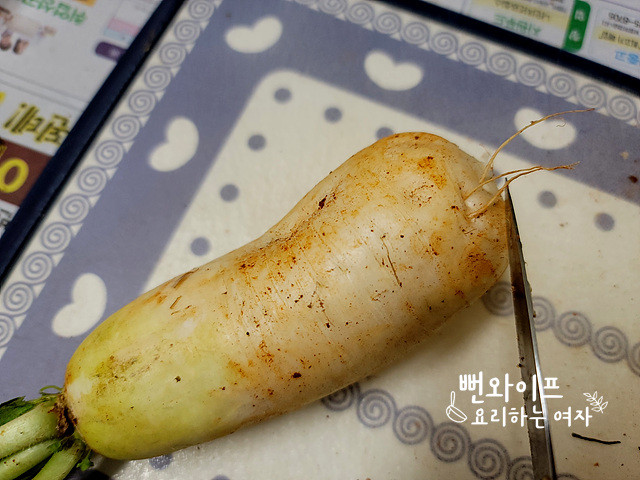 손질하기 사진 2