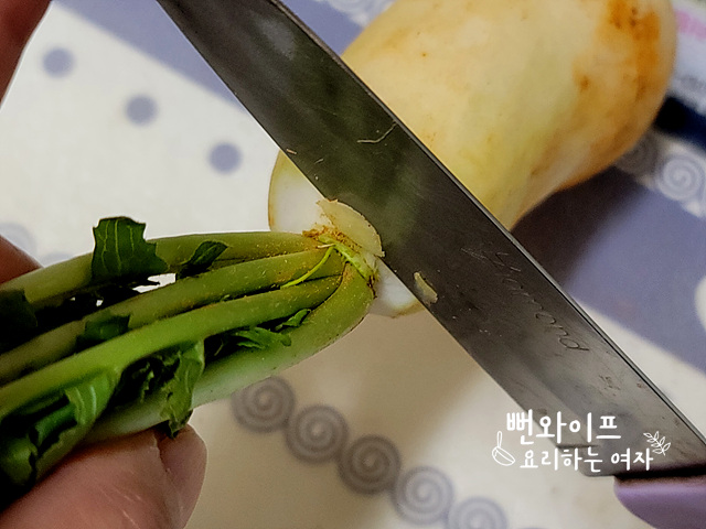 손질하기 사진 1