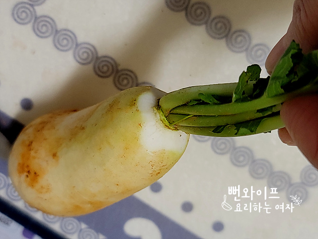 손질하기 사진 2