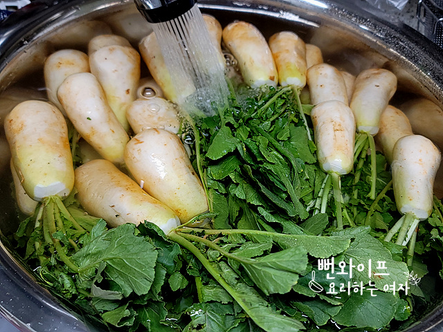 세척하기 사진 1