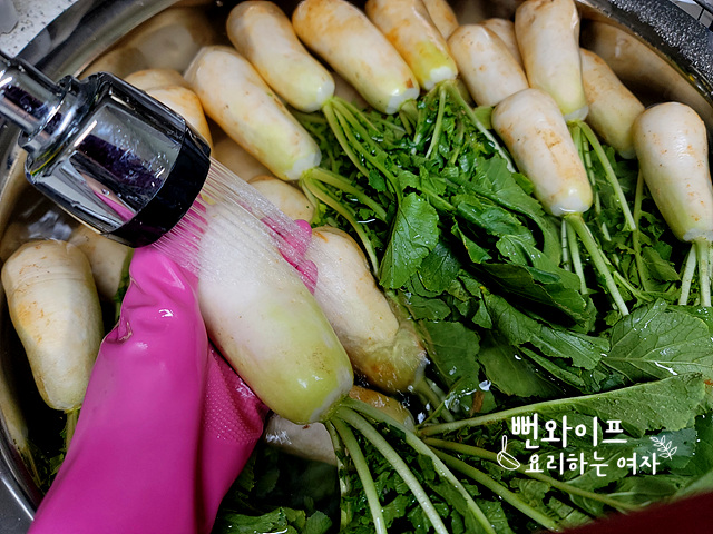 세척하기 사진 2