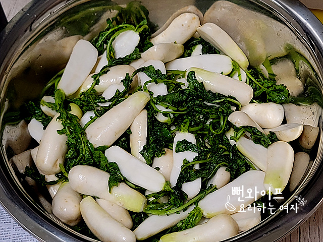 절이기 사진 1
