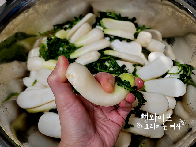 절이기 사진 2