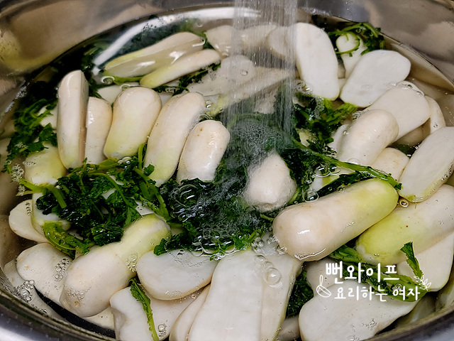 절이기 사진 1