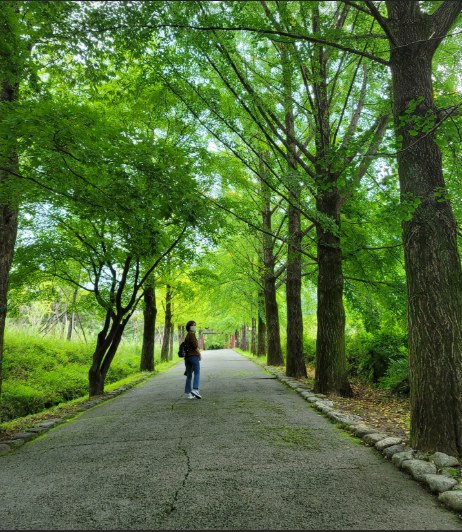 Seen from behind, walking along a green tree-lined road